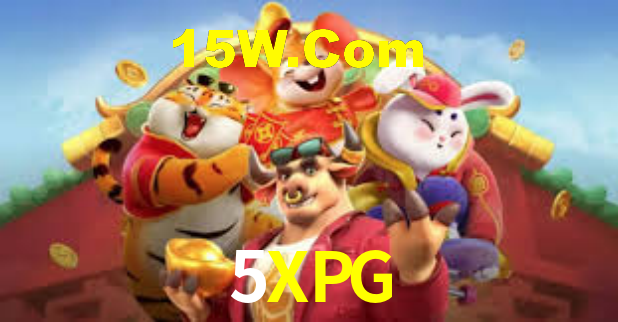 Premium Interface 5XPG